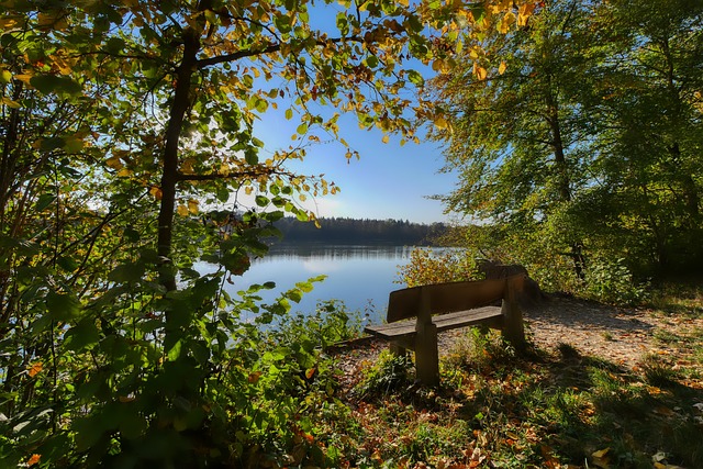 成功的道路 成功的道路