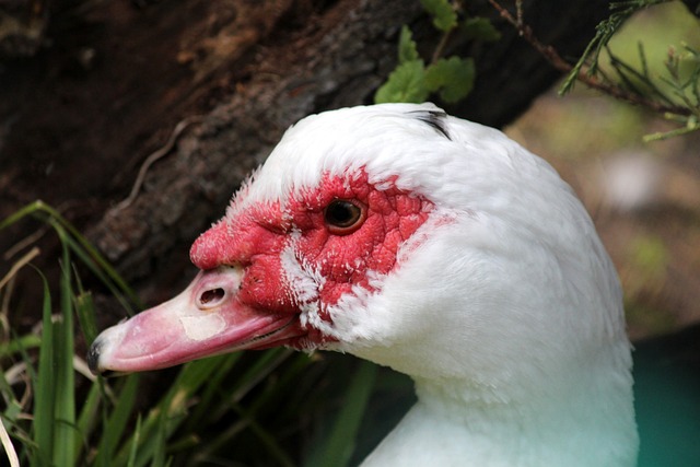 教練能夠展 教練能夠展