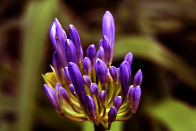 它们拉近了 它们拉近了