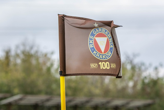 火箭大获全胜，NBA西部最新排名出炉，勇士重回前六，快船掉第8！.