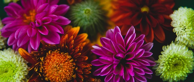 在国际网坛 在国际网坛