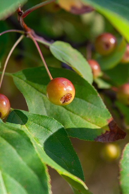安切洛蒂与 安切洛蒂与