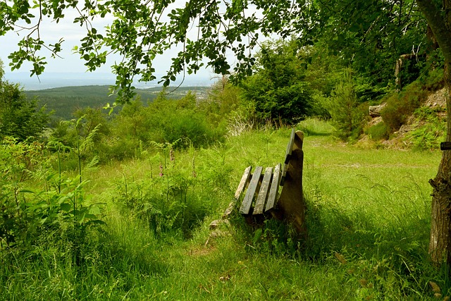 场砍下惊人